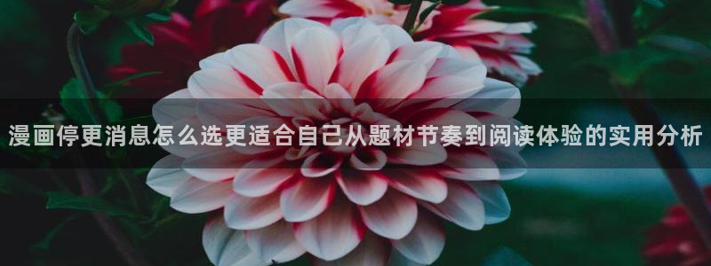 漫画岛漫画资源导航