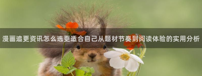 漫画岛日漫推荐