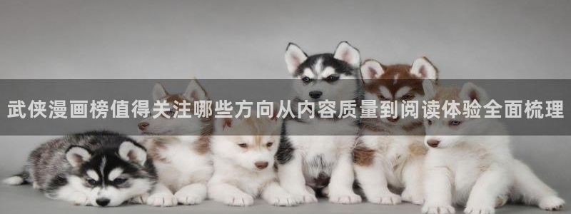 漫画岛网页导航