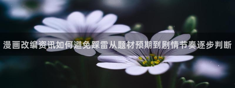 漫画岛在线导航