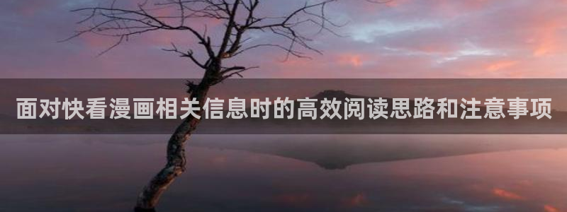 漫画岛最新地址入口