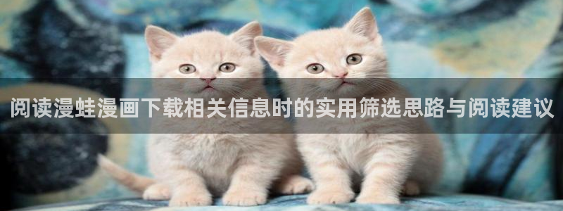 漫画岛网站地址