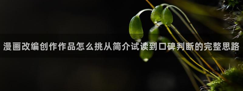 漫画岛热门连载漫画